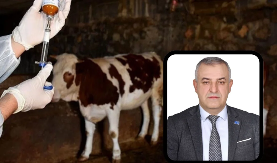 Bursa’nın Mustafakemalpaşa ilçesinde şap