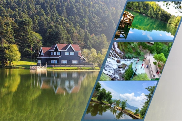 Tarım ve Orman Bakanlığı,