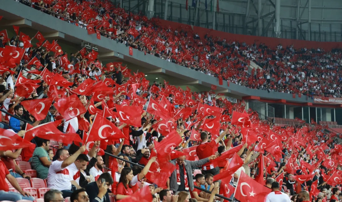 Türkiye Futbol Federasyonu (TFF)